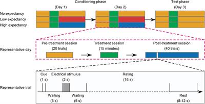 The Influence of Expectancy Level and Personal Characteristics on Placebo Effects: Psychological Underpinnings